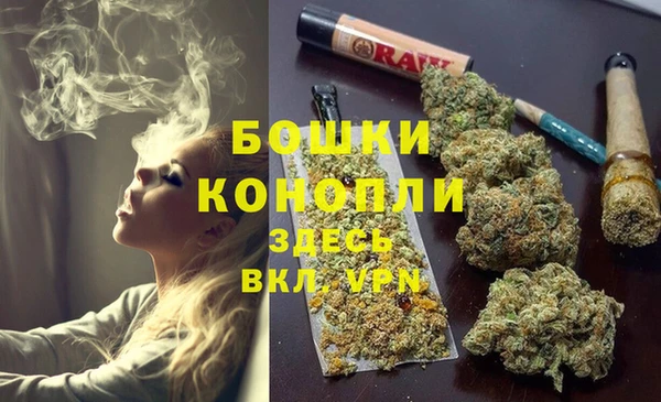 spice Алексеевка