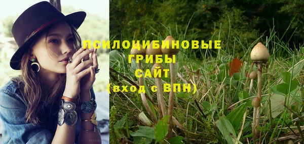таблы Алзамай
