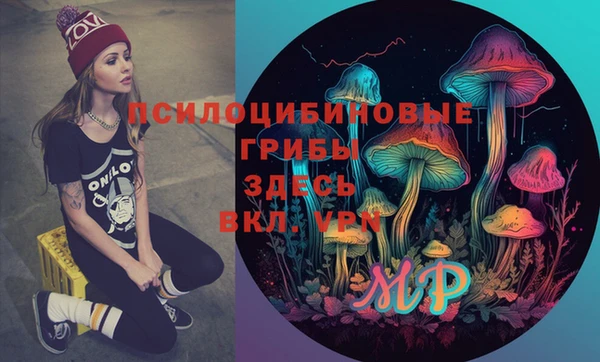 spice Алексеевка